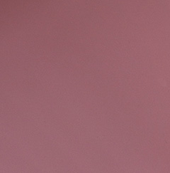ɫ