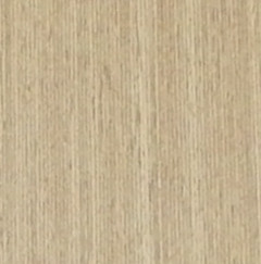 ʱľ棩