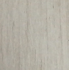 ¹ֱ棩